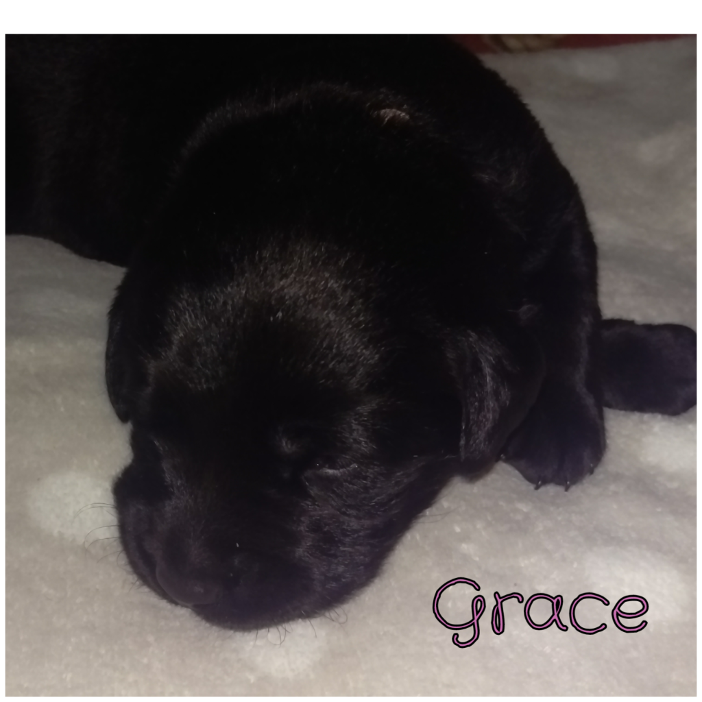 Grace.png