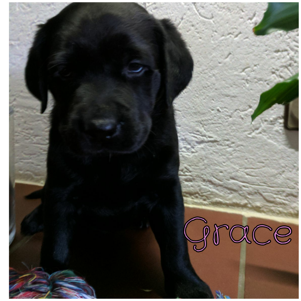 Grace.png