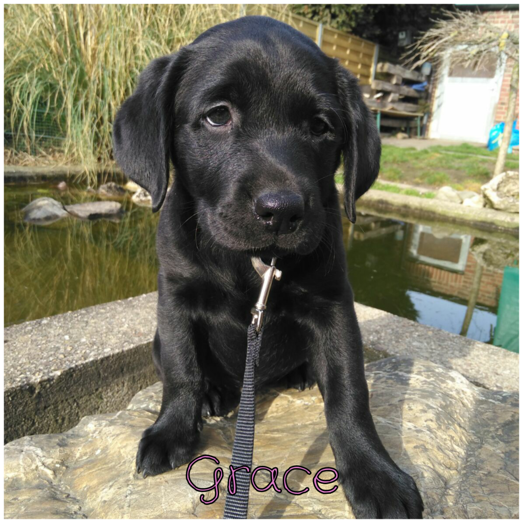 Grace.png
