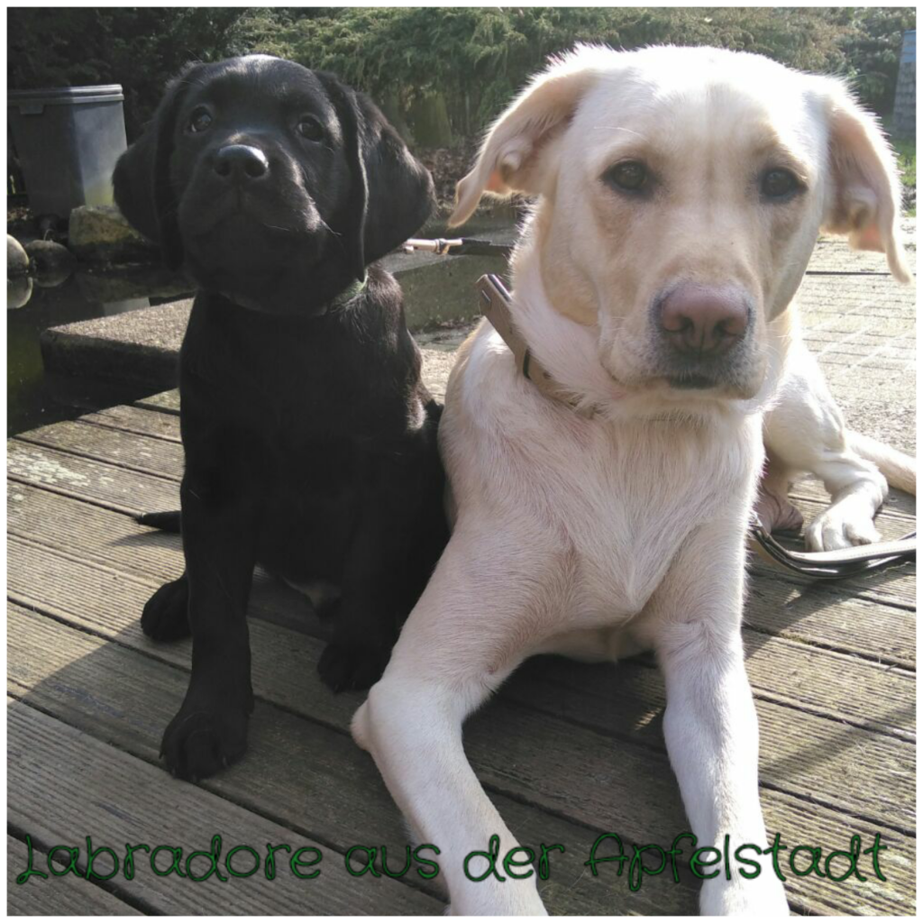 Leo und Emma.png