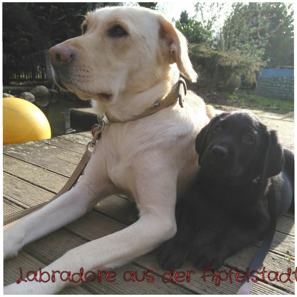 Maja und Emma.png
