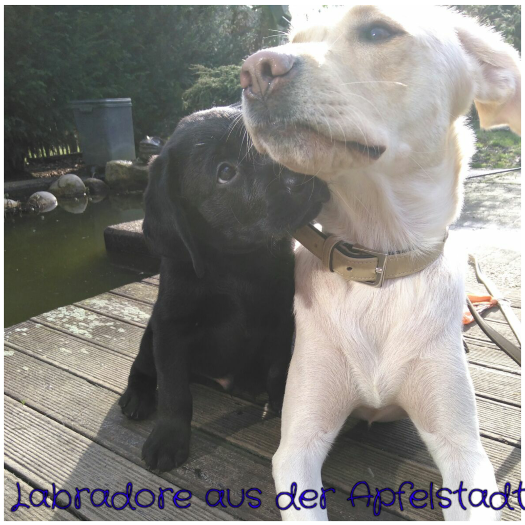 Mali und Emma.png