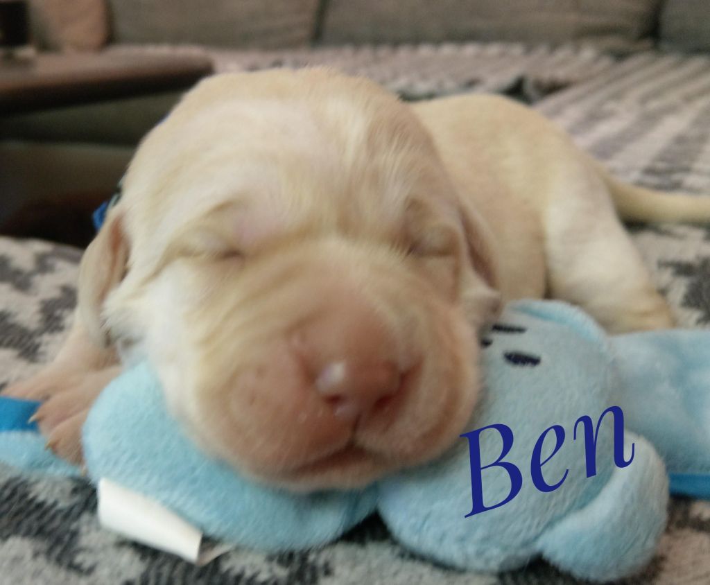 Ben.jpg