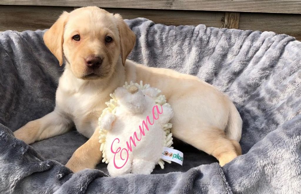 Emma 8.jpg