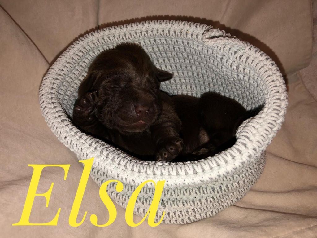 Elsa.jpg