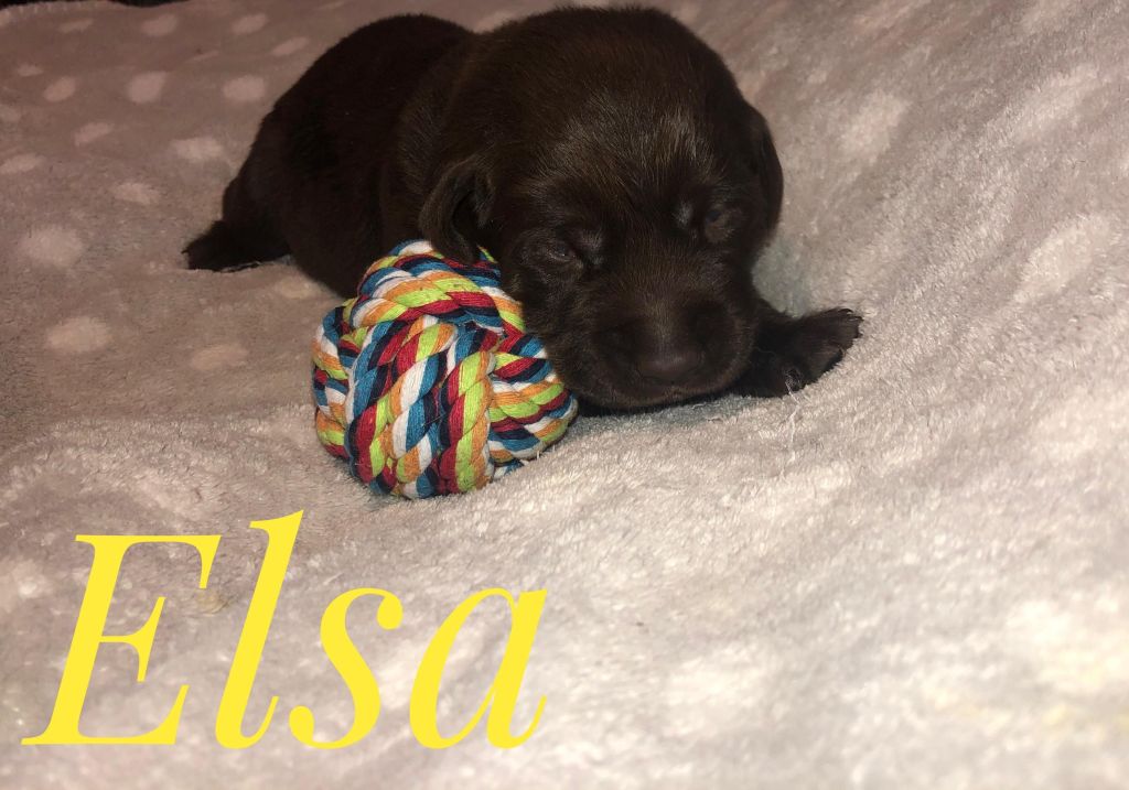 Elsa.jpg