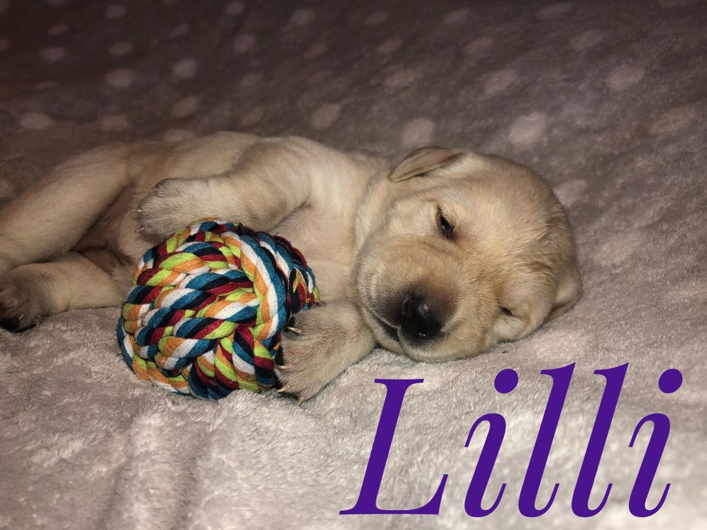 Lilli.jpg