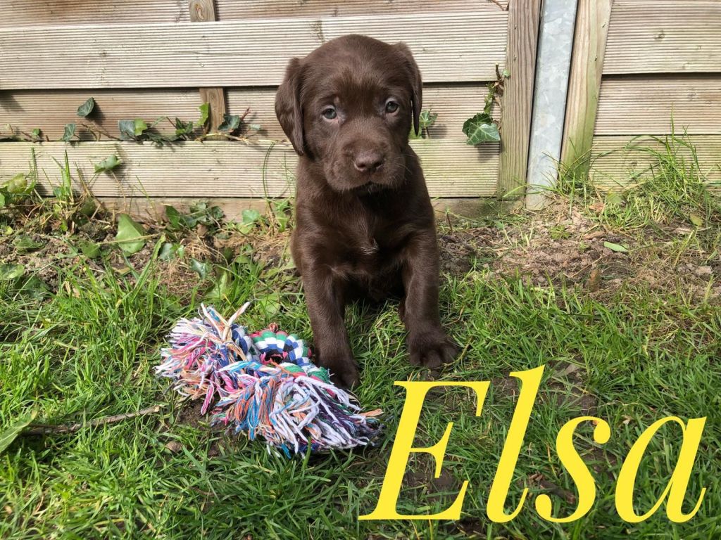 Elsa.jpg