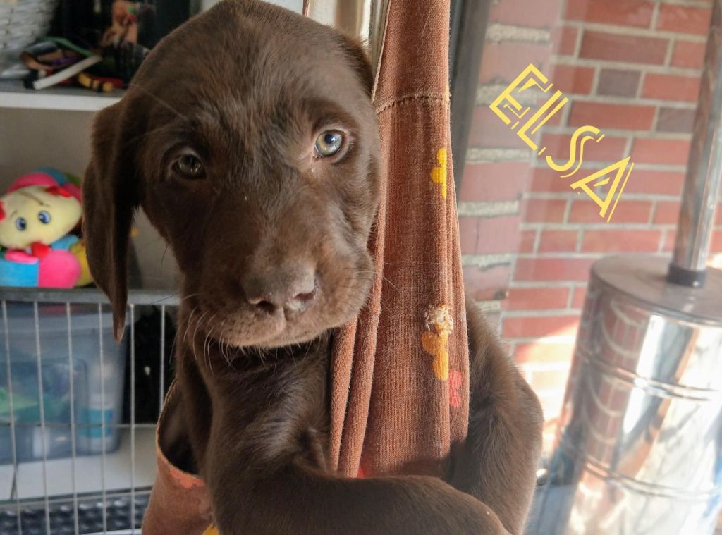 Elsa.jpg