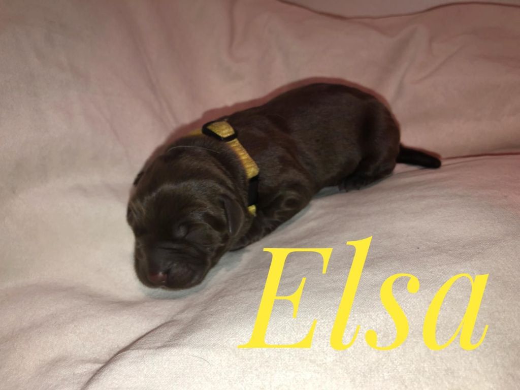 Elsa.jpg