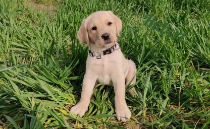 Hubert.jpg