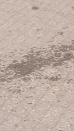 20250504_144823.mp4
