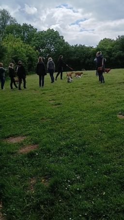 20250504_145310.mp4