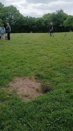 20250504_145820.mp4