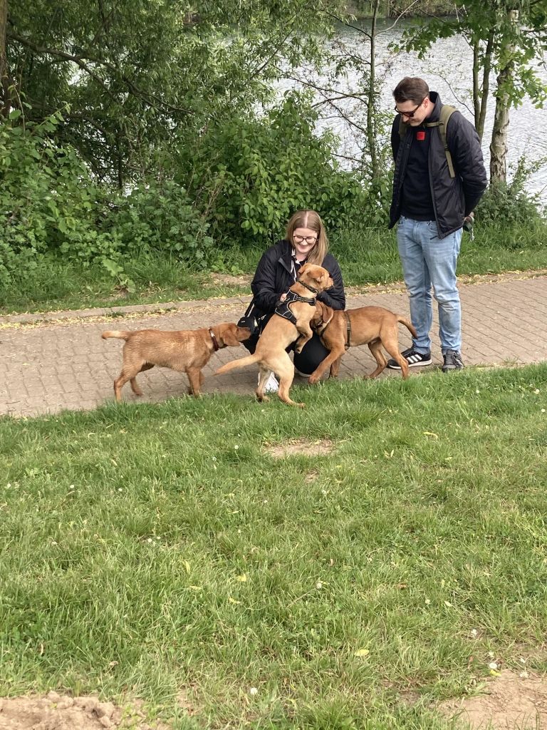 IMG_0424.jpeg