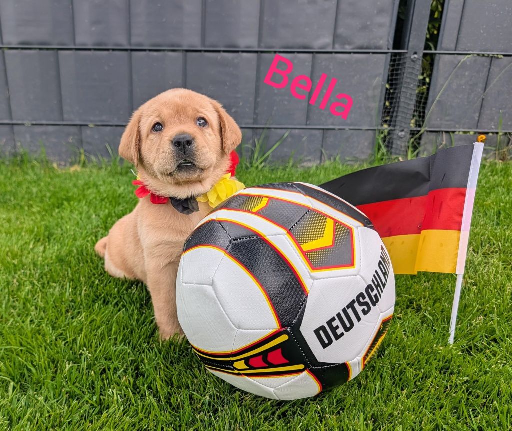Bella.jpg