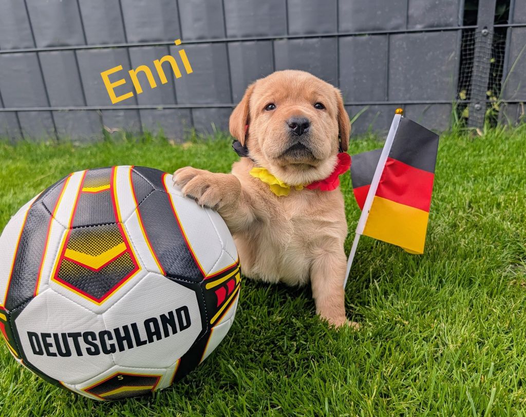 Enni.jpg