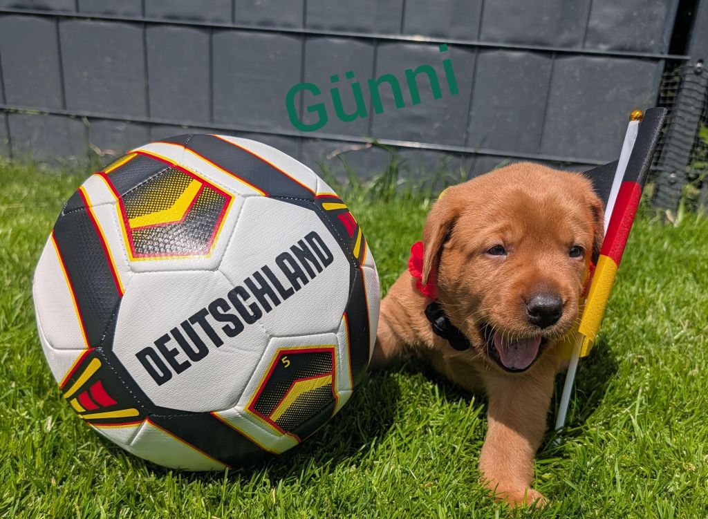 Günni.jpg