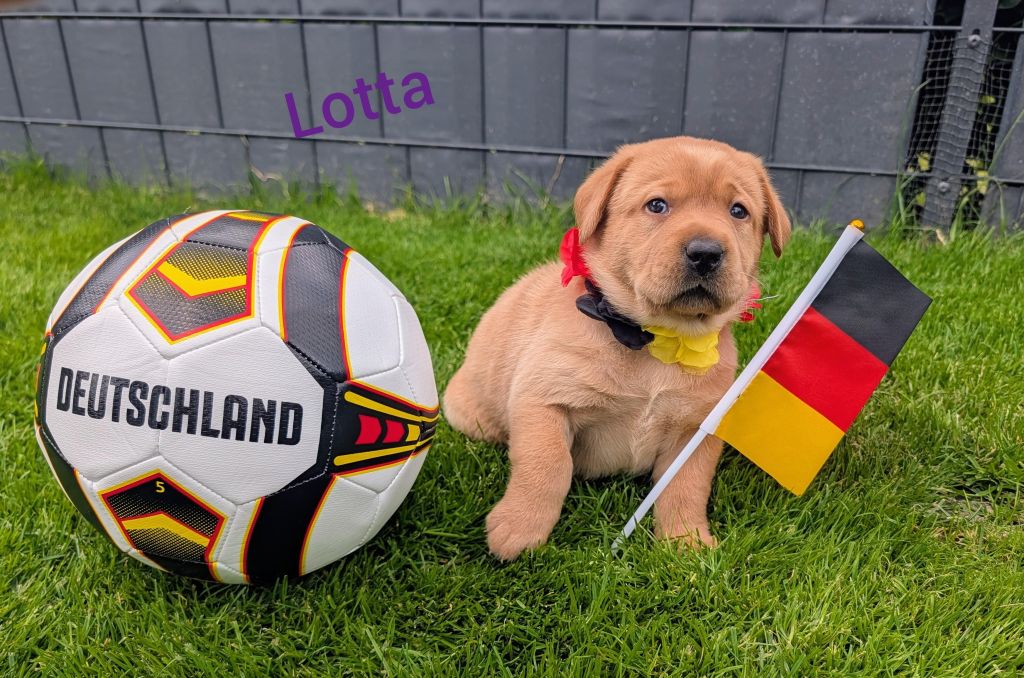 Lotta.jpg