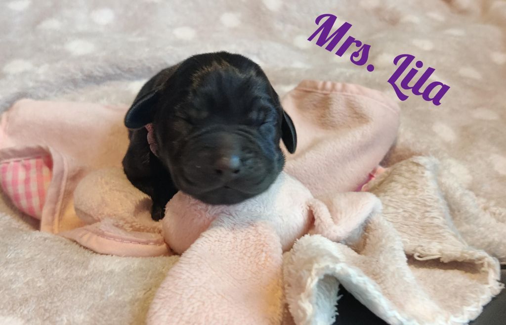 Mrs. Lila.jpg