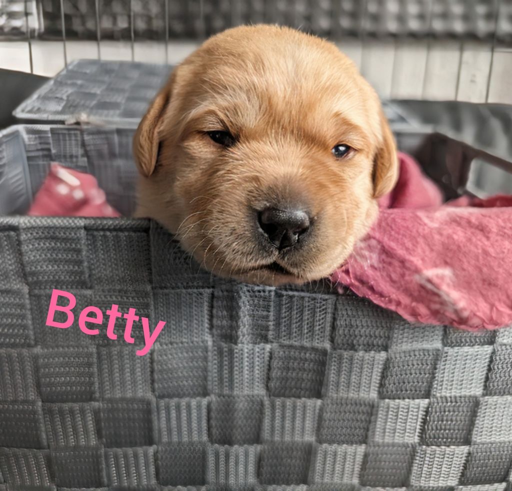 Betty.jpg