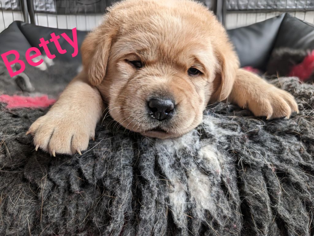 Betty.jpg