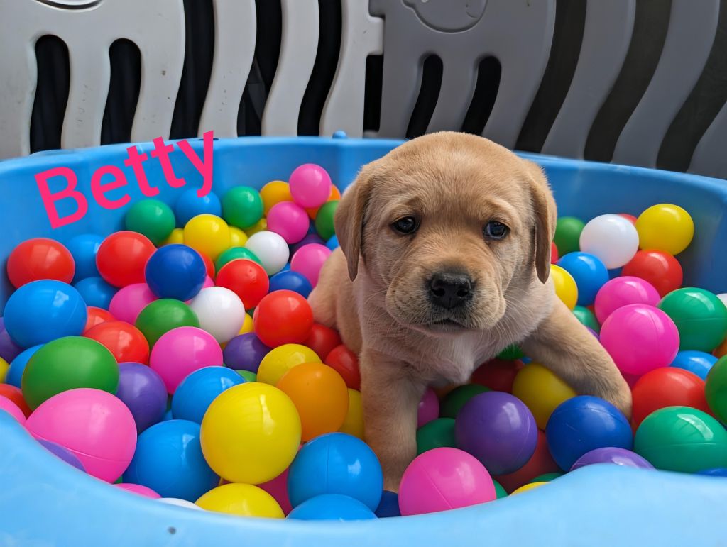 Betty.jpg