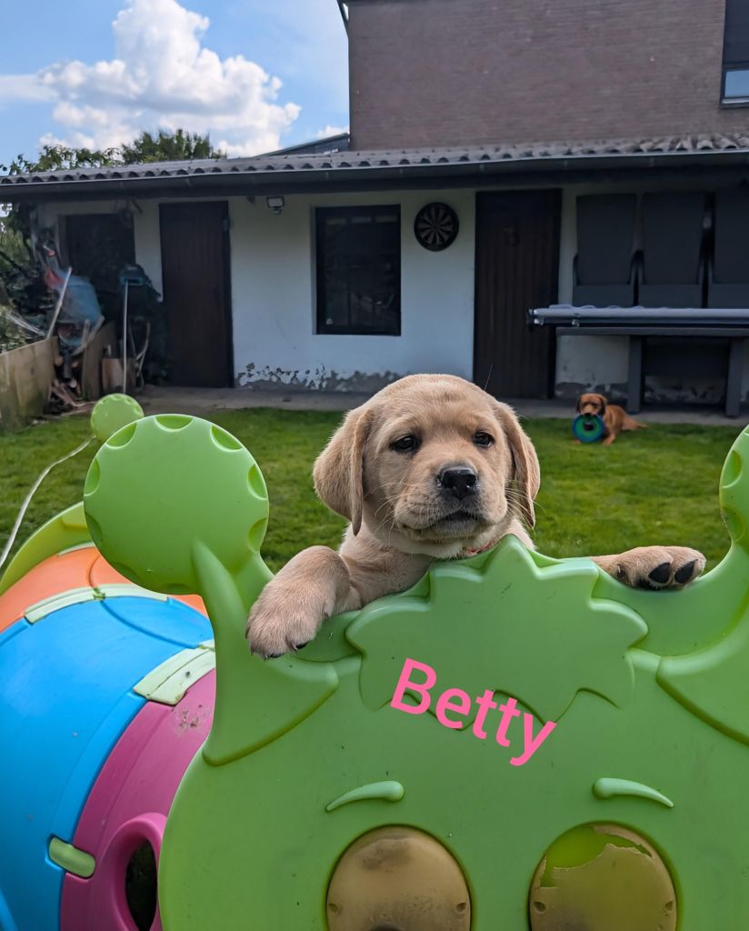 Betty.jpg