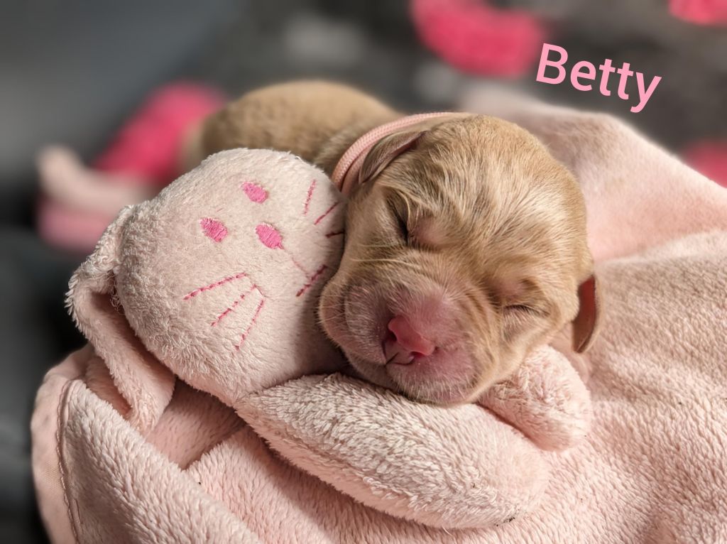 Betty.jpg