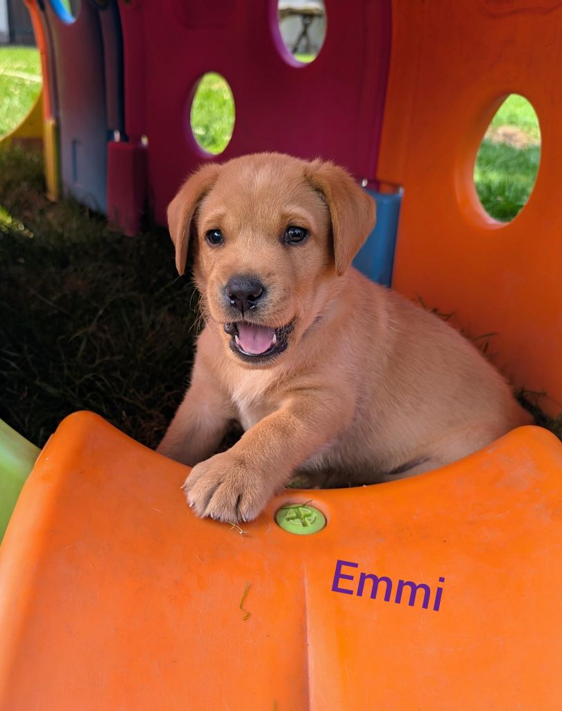 Emmi.jpg