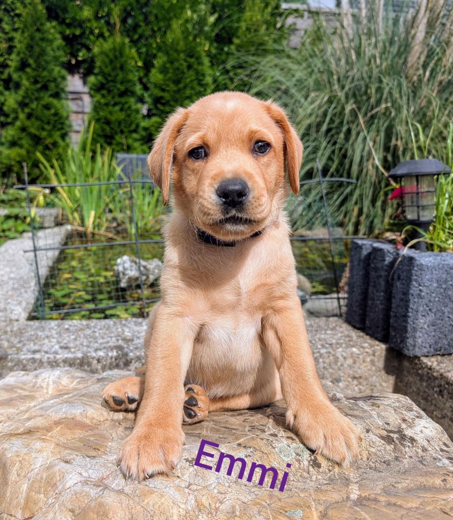 Emmi.jpg