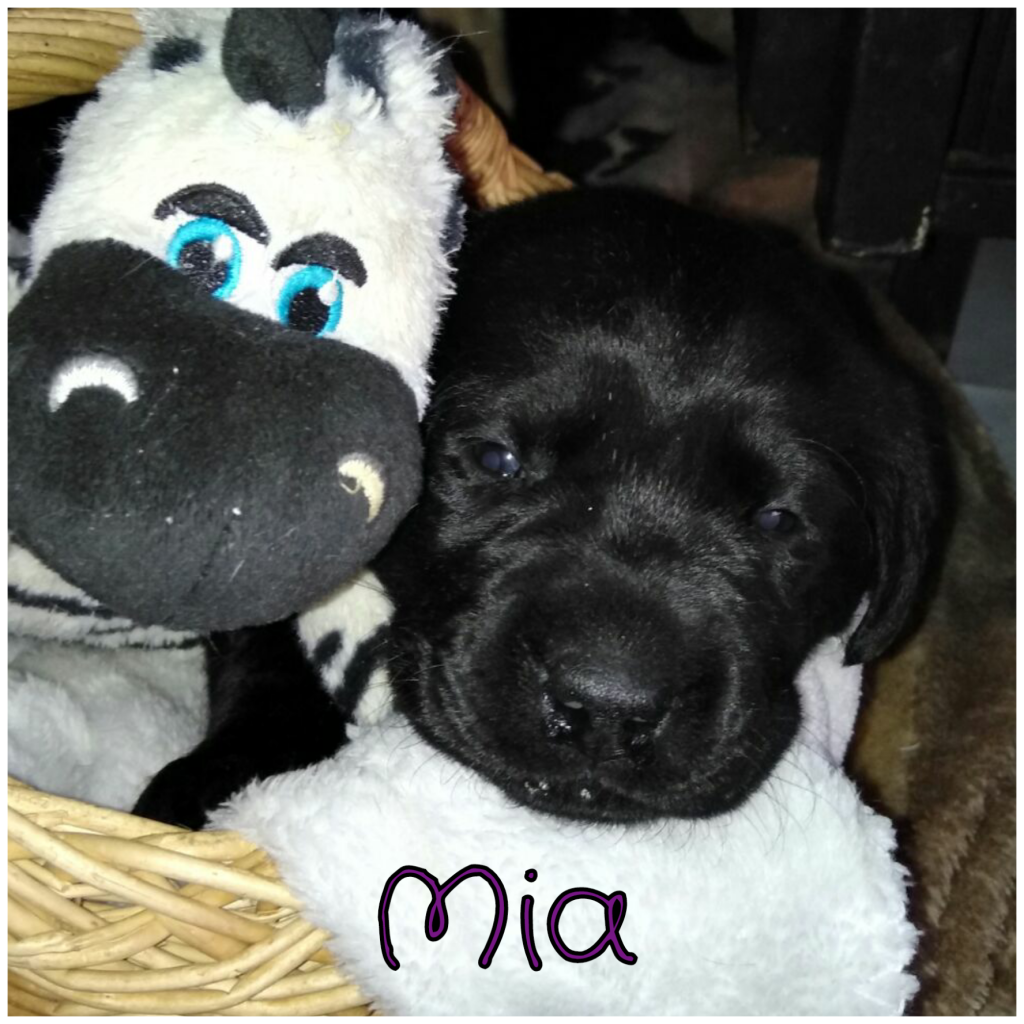 Mia.png
