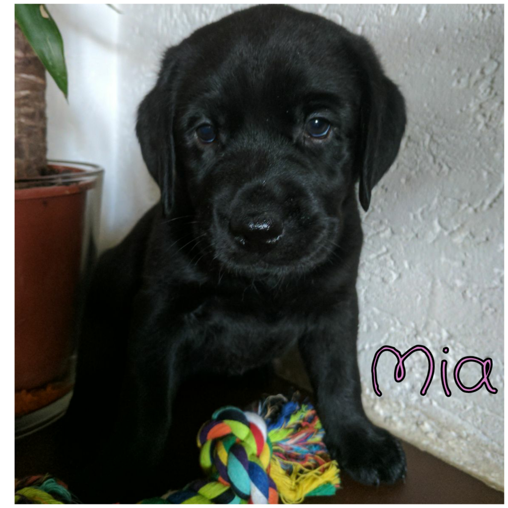 Mia.png