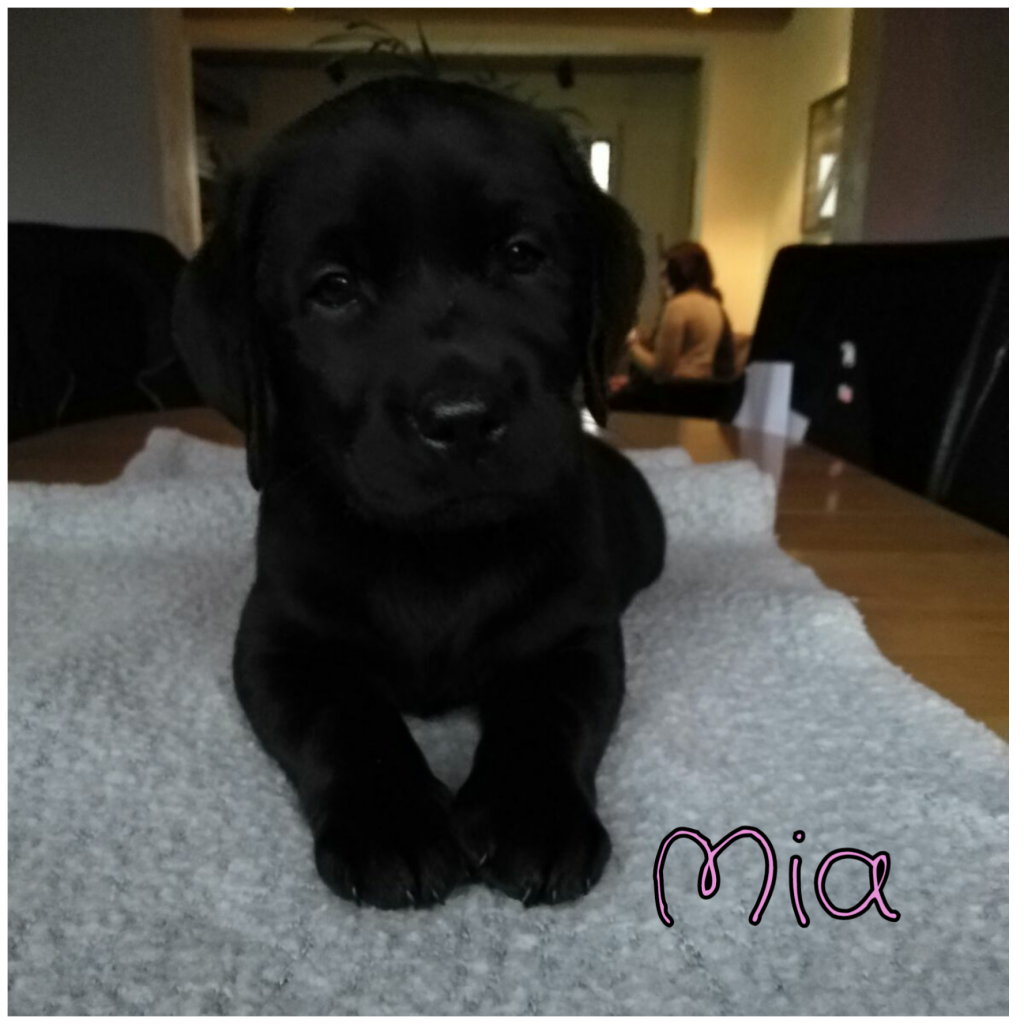 Mia.png