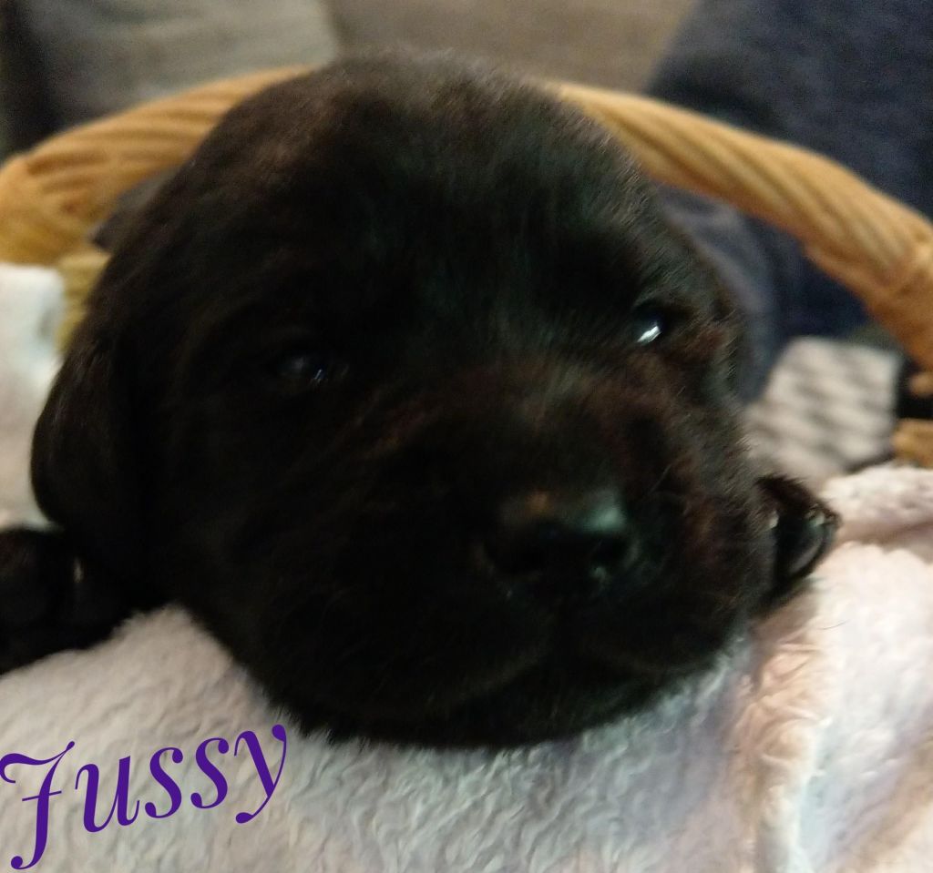Jussy.jpg