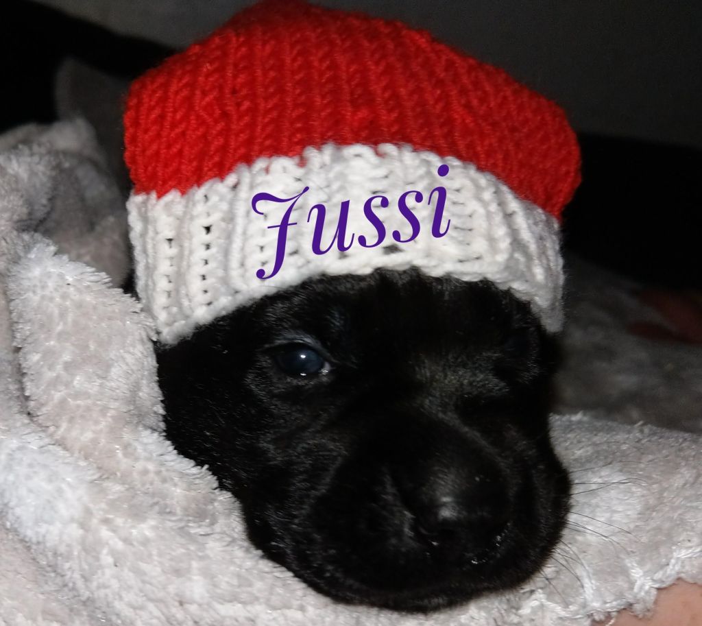 Jussi.jpg