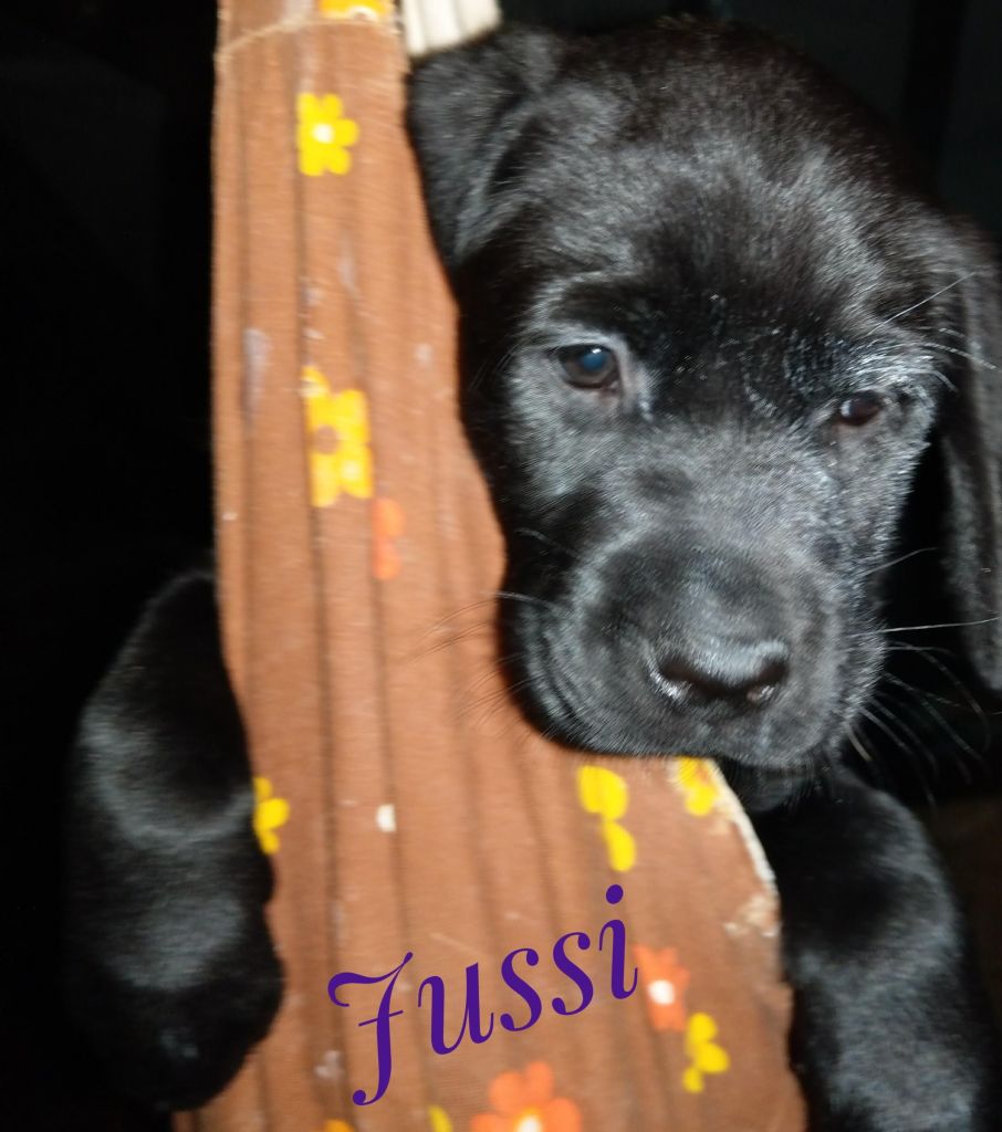 Jussy.jpg