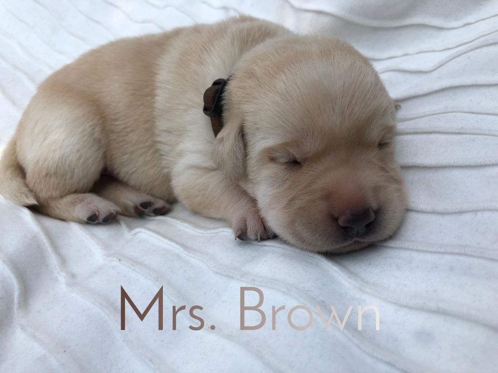 Mrs. Brown.JPEG