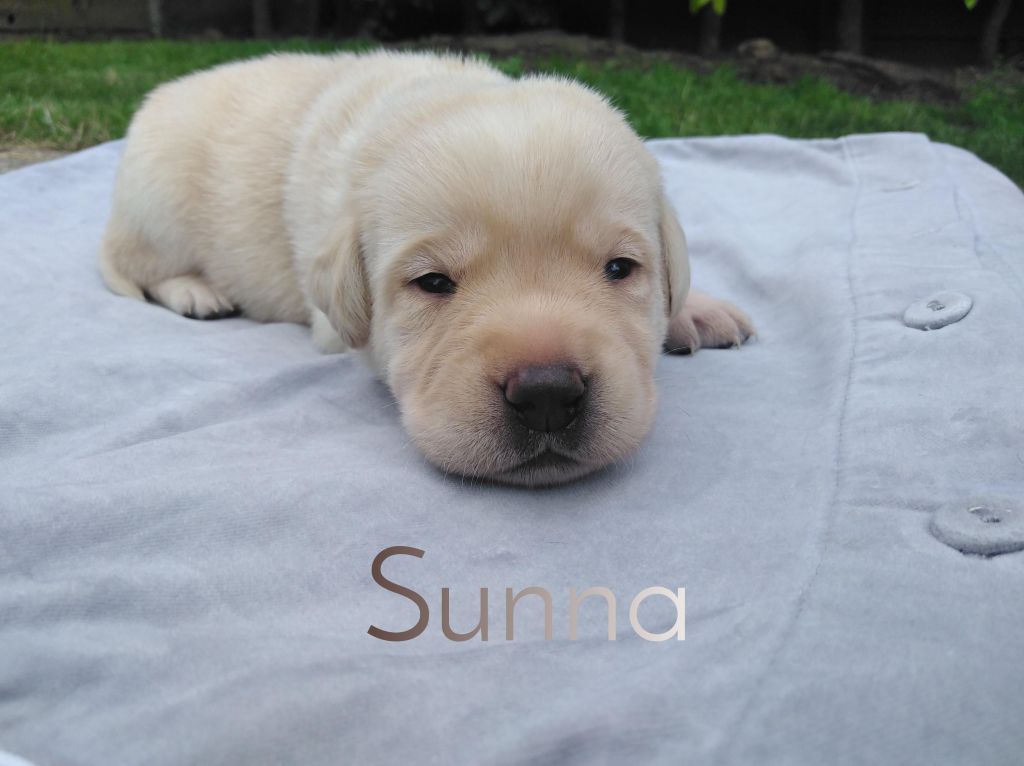 Sunna.JPEG