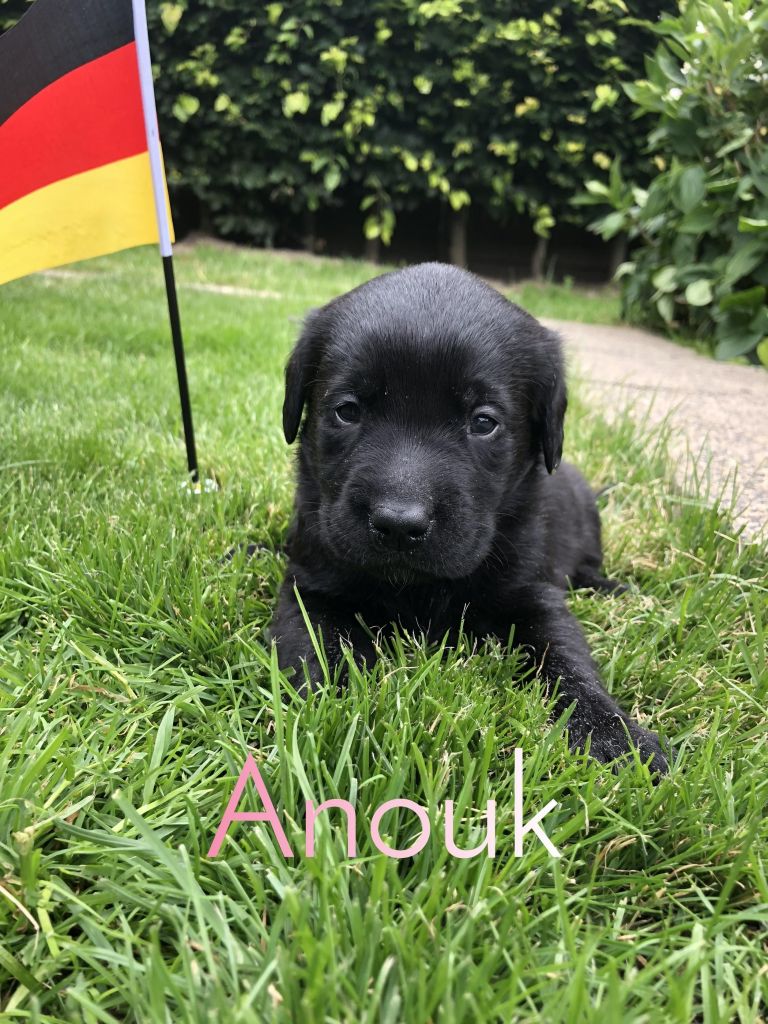 Anouk.JPEG