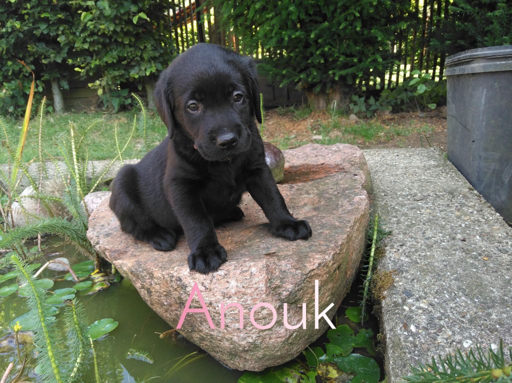 Anouk.JPEG