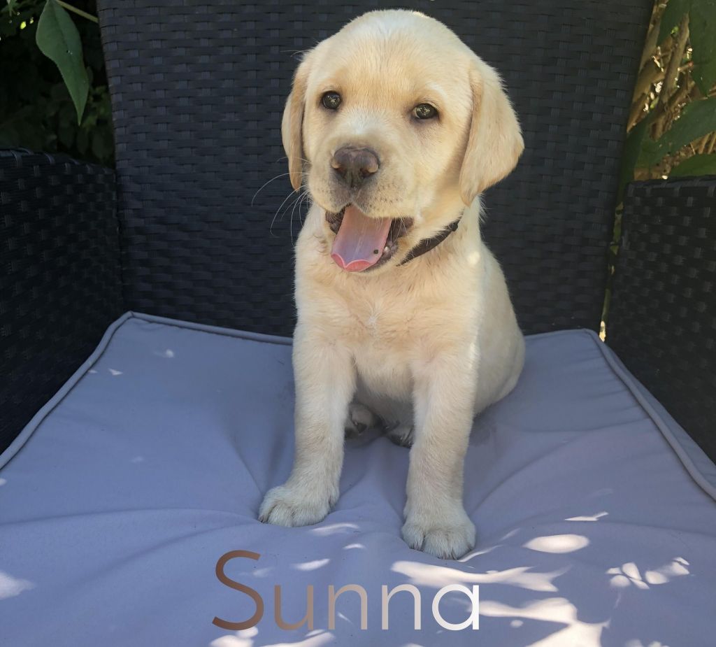 Sunna.jpg