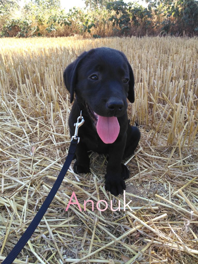 Anouk.JPEG