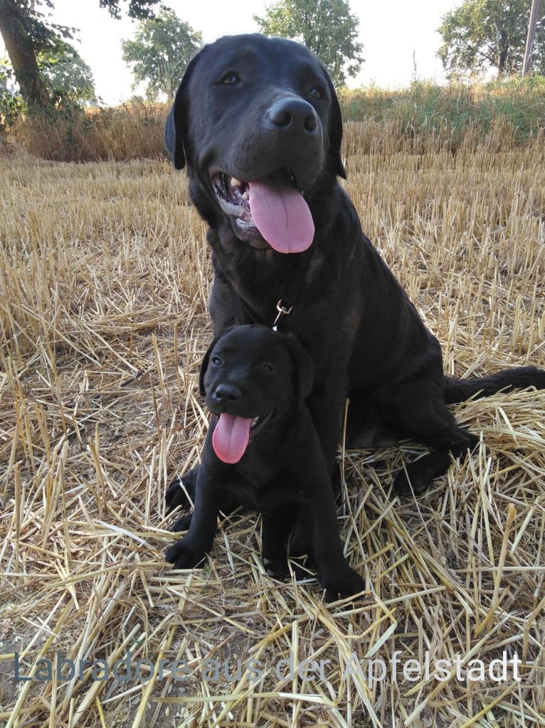Dakota und Luna.JPEG