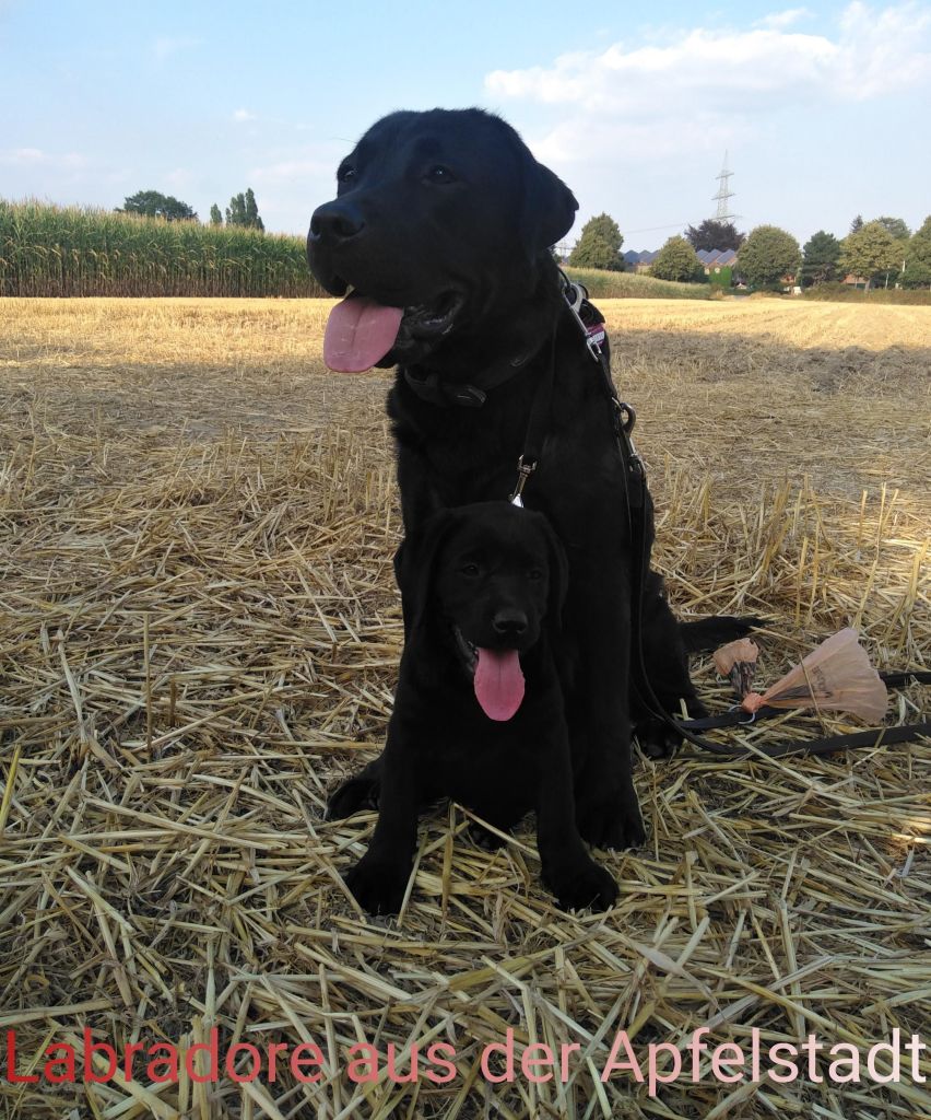 Pepper und Luna.JPEG