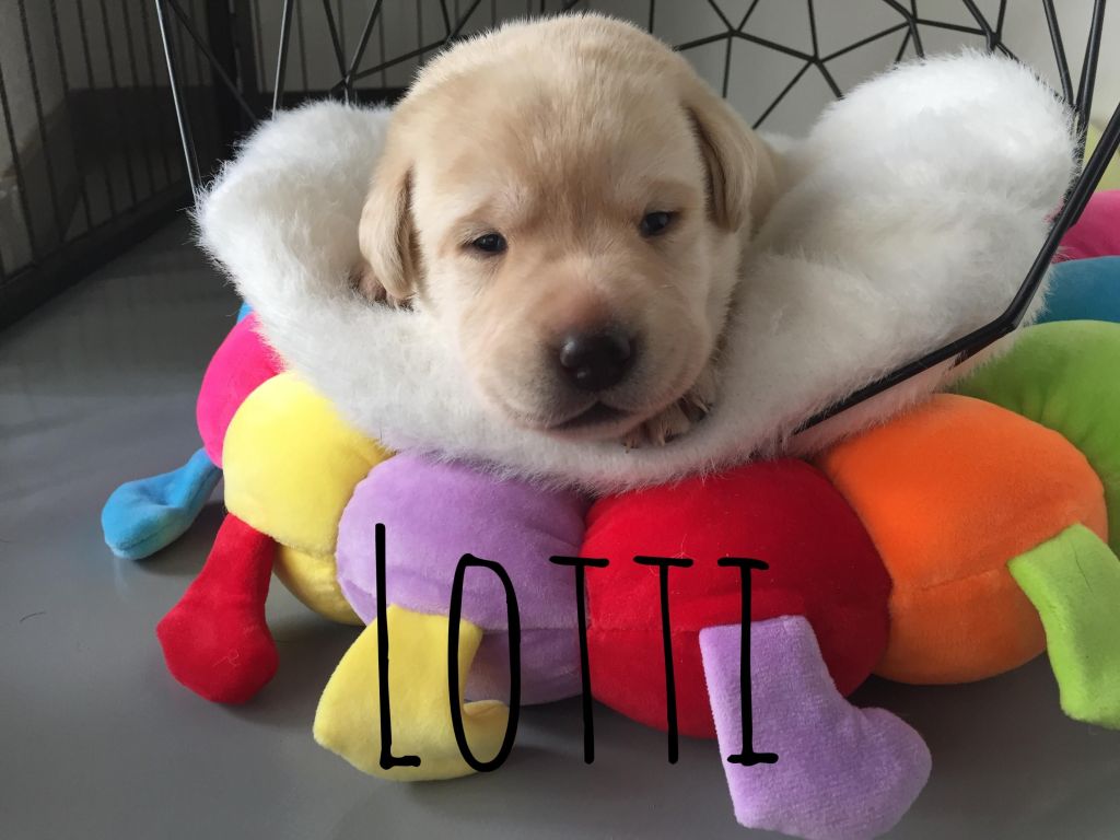Lotti.JPG