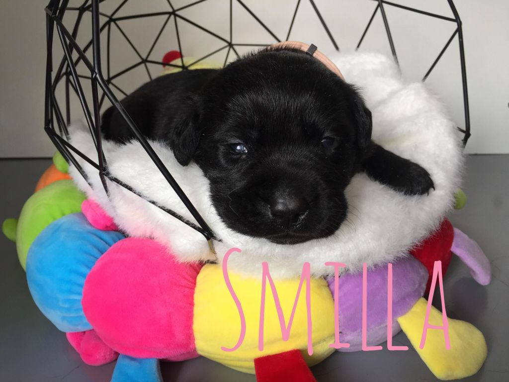 Smilla.JPG