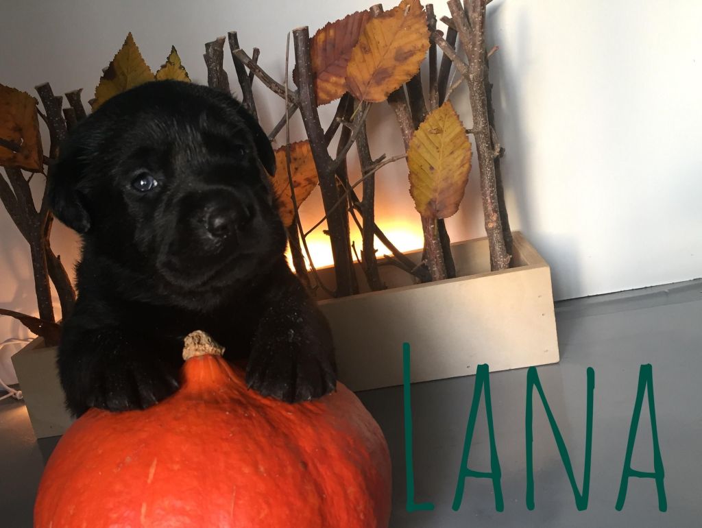 Lana.JPG