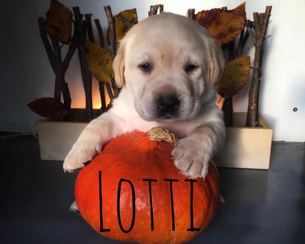 Lotti.JPG