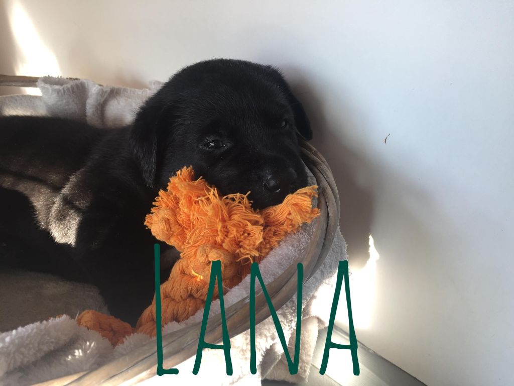 Lana.JPG